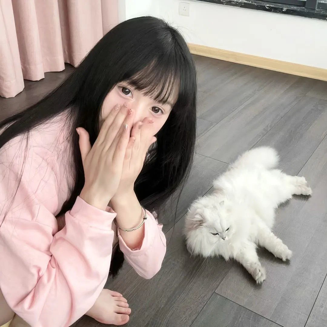 探险活宝第四季